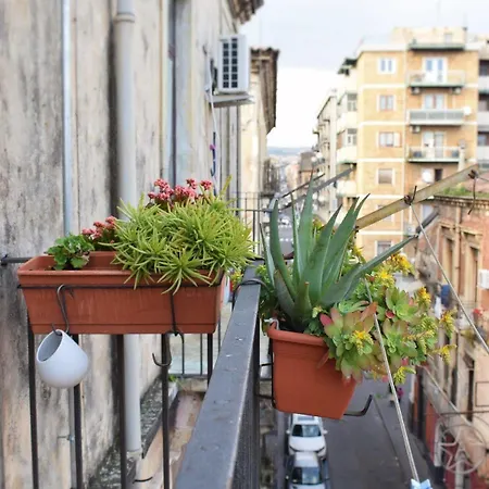 A Casa Di Sebina Catania